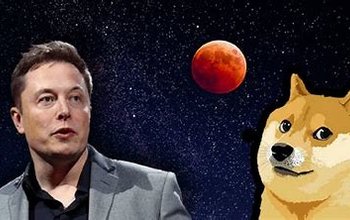 Elon Musk và McDonald’s đẩy giá token “vô danh tiểu tốt” tăng vọt 6.000%