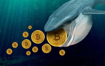 Lượng Bitcoin Giảm Mạnh Đã Được Chuyển Từ Coinbase Sang Ví Tiền Điện Tử Ẩn Danh