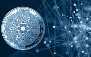 Giai Đoạn Tích Lũy Cho Cardano Tiếp Tục Khi Các Địa Chỉ Cá Mập Tiếp Tục Mua