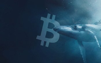 Cá Voi Ẩn Danh Đã Rút Gần 280 Triệu Đô La Bitcoin Từ Coinbase Khi Giá Giảm Xuống Dưới 40.000 Đô La