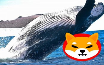 Cá Voi Shiba Inu Đã Đứng Vững Vì Giá SHIB Có Khả Năng Đạt 0,001 Đô La