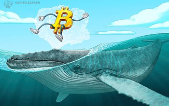 Cá Voi Ẩn Danh Đã Rút Hai Khối Lượng Lớn Bitcoin Vào Ví Của Chúng