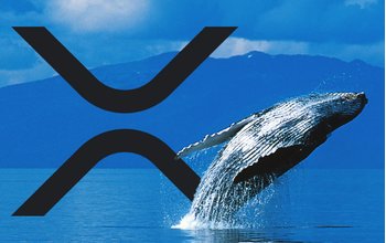 Ripple Và Cá Voi Ẩn Danh Chuyển Nửa Tỷ XRP