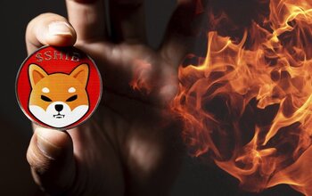 1,5 tỷ Shiba Inu bị đốt cháy bởi cổng trong 24 giờ qua, tỷ lệ đốt cháy 657%
