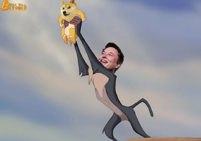 Tỷ phú Elon Musk: “Dogecoin là phương tiện thanh toán tốt hơn Bitcoin”